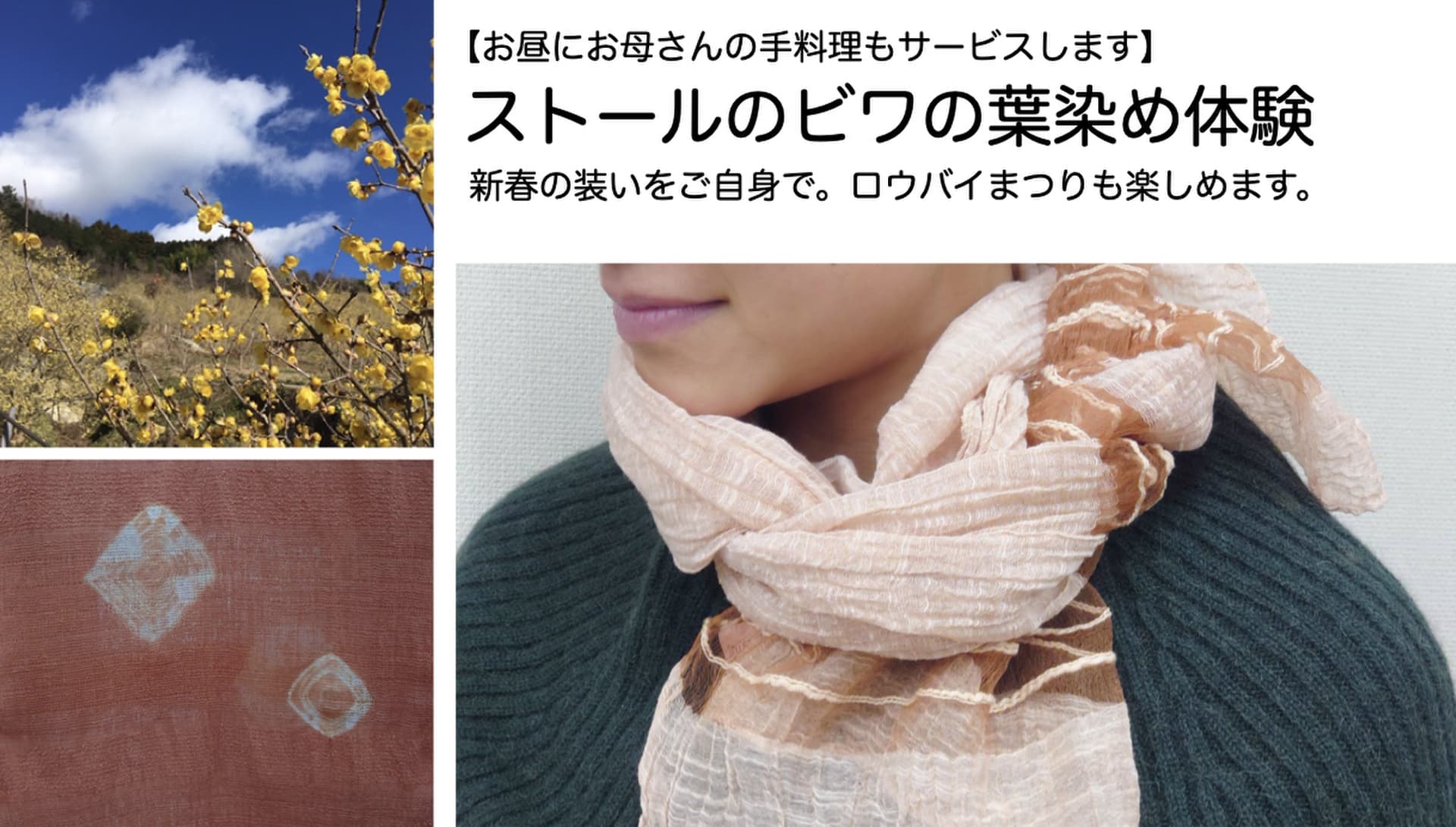 【染め物体験】ストールを琵琶の葉で染めます。お昼ごはんもサービス