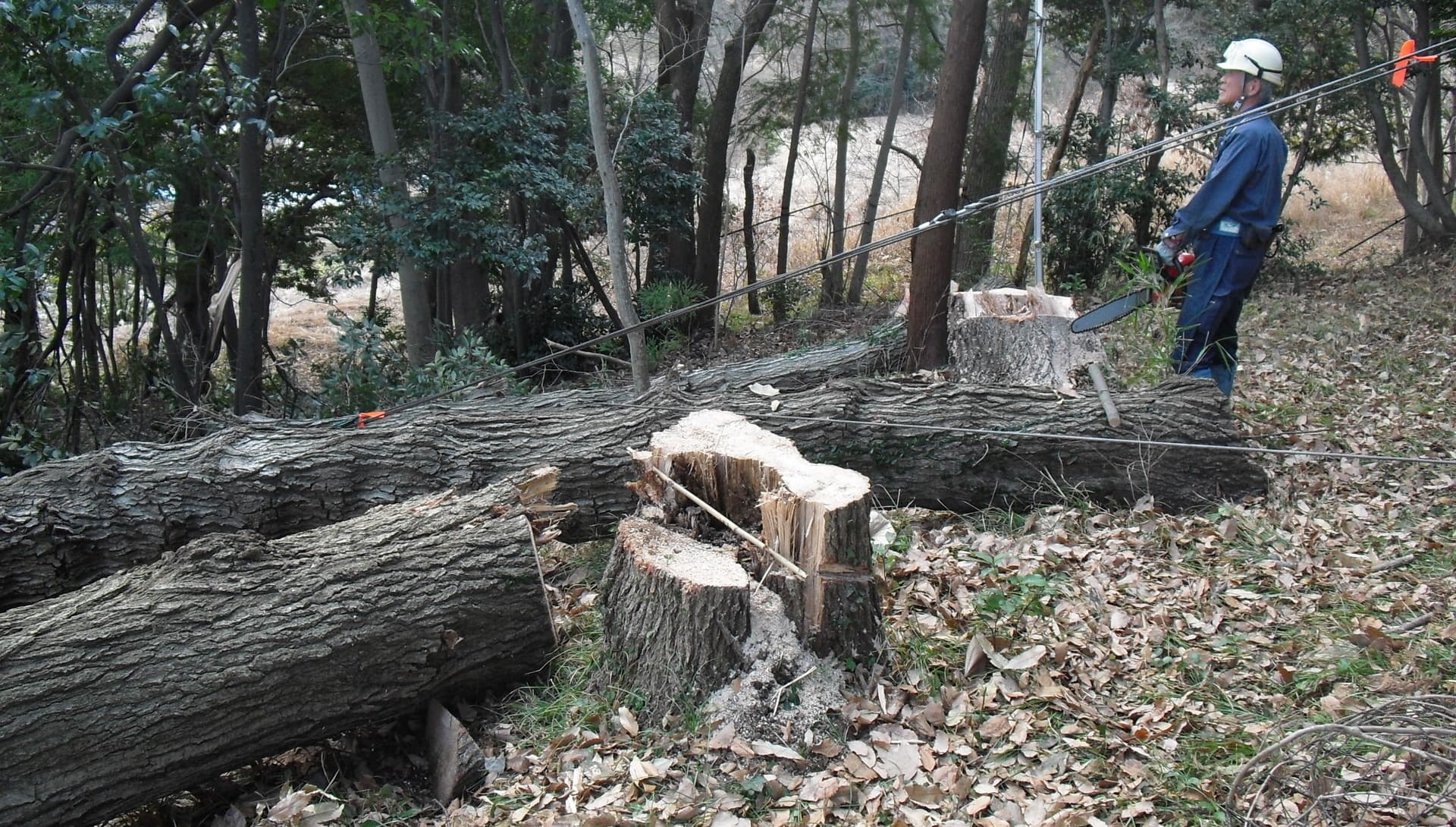 秦野（都心から１時間）の里山で、里山一日体験