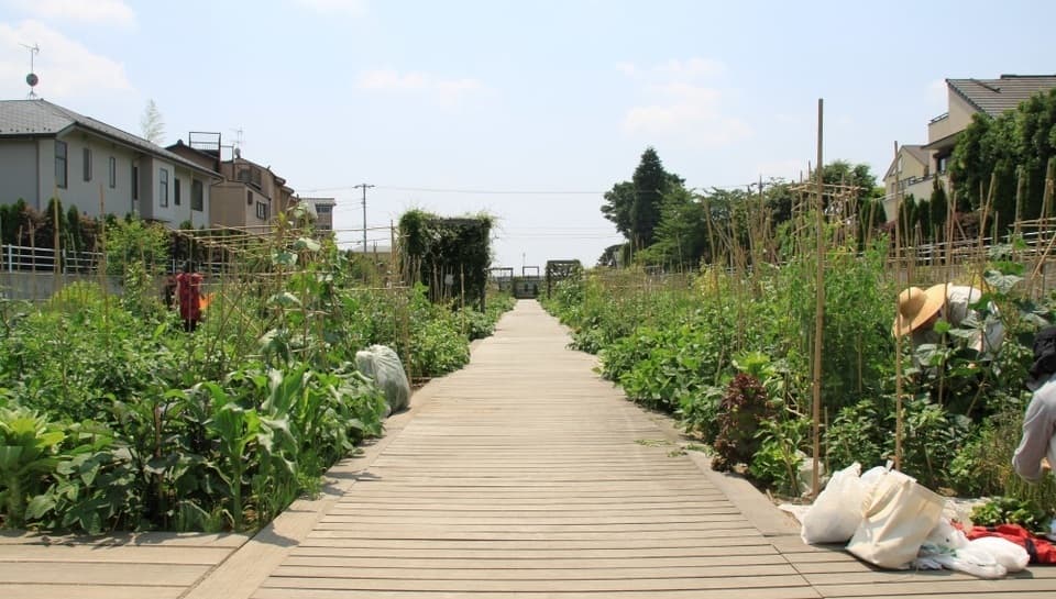 子ども向け野菜スクール企画「アグリス成城ベジキッズスクール」